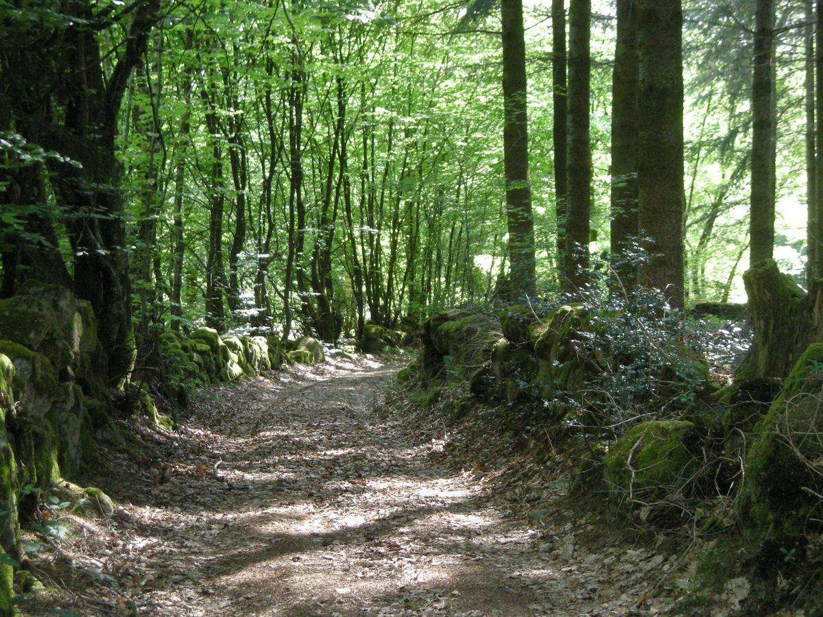 La Vieille Auberge Du Lac Saint-Agnan  Eksteriør bilde